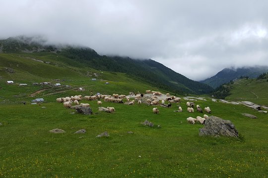 Tour image 5