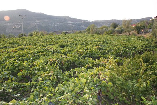 Tour image 6