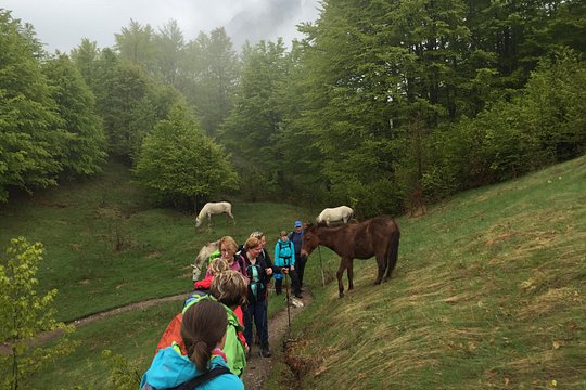 Tour image 1