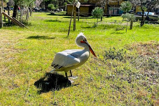 Tour image 1